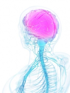 pregabalin pregabalin